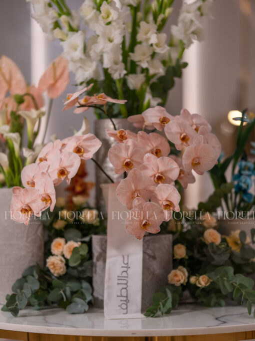 Reception offer - Image 3